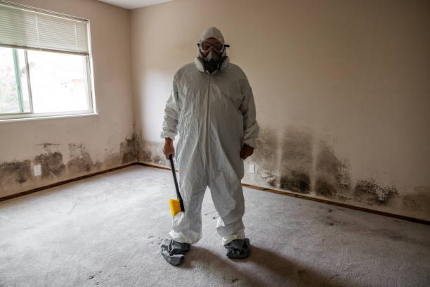 Mold Remediation for Vacation Homes in Lexington, MS